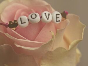 4) Cours de cuisine : menu Saint-Valentin, cuisine complice à partager